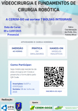 Descritivo da imagem